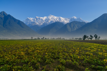 हरिद्वार की भूमि कैसे बनी उपजाऊ खेती की मिसाल?