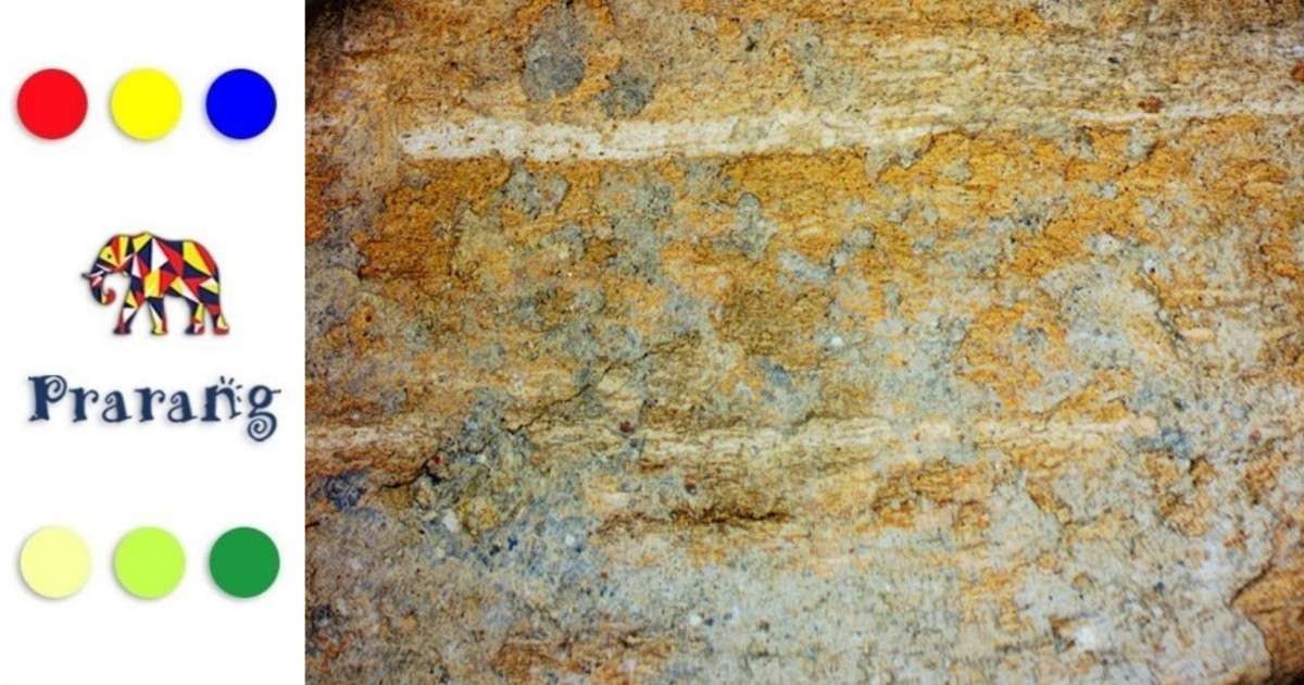 सौंदर्य से लेकर खेती तक: मेरठवासियों, जानिए डायटोमाइट का यह नैसर्गिक कमाल