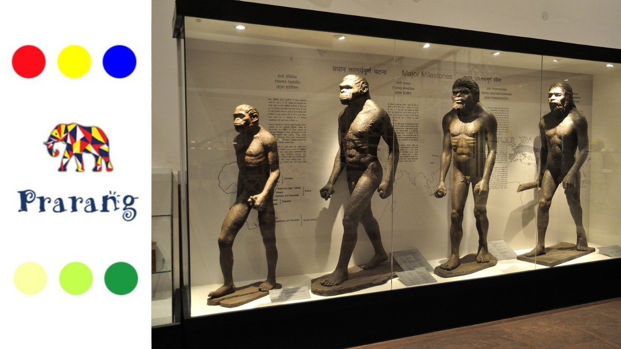 वैश्विक व भारतीय मानवी उत्क्रांती चा इतिहास जाणून घेणे आपल्यासाठी का आहे आवश्यक?