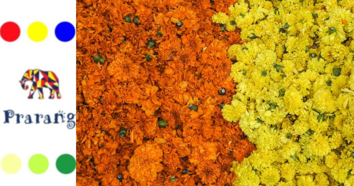 लखनऊ में गेंदे की ख़ुशबू: संस्कृति, खेती और सशक्तिकरण का संगम