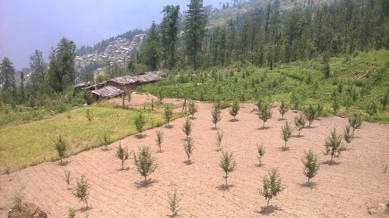 पहाड़ों में ज़मीन मापने के लिए आज भी प्रचलित हैं, नाली और मुट्ठी जैसी इकाइयाँ!