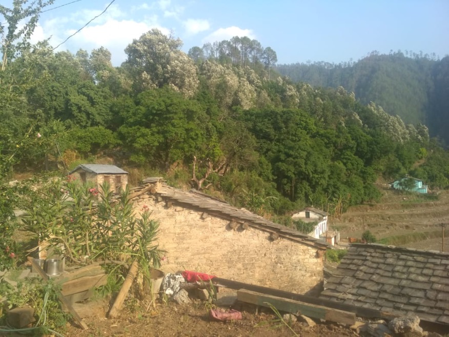 पत्थरों और कला की विरासत रही बखलियाँ आज दम क्यों तोड़ रही है?