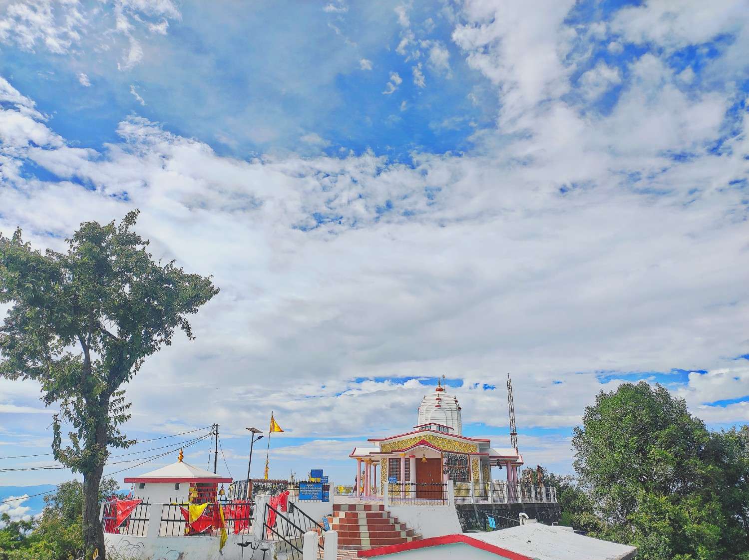 थल केदार: पिथौरागढ़ का पवित्र वन, जैव-विविधता और संरक्षण का अनूठा संगम