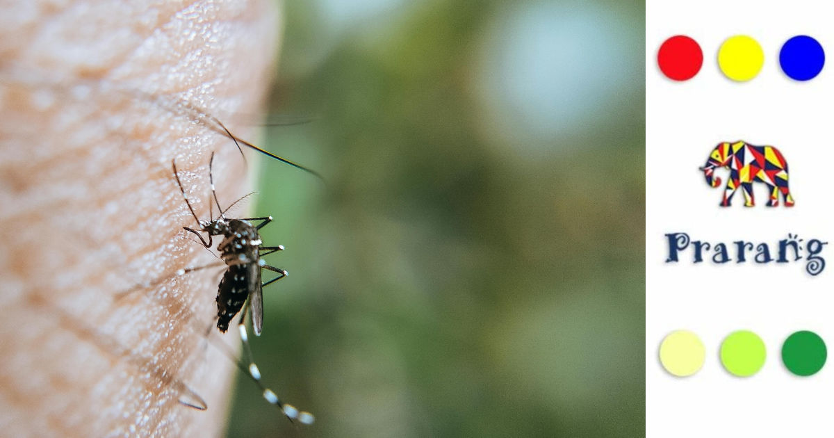 मलेरिया से कितनी सुरक्षित है मेरठ की हवा? ज़रूरत है जागरूकता और सामूहिक प्रयासों की