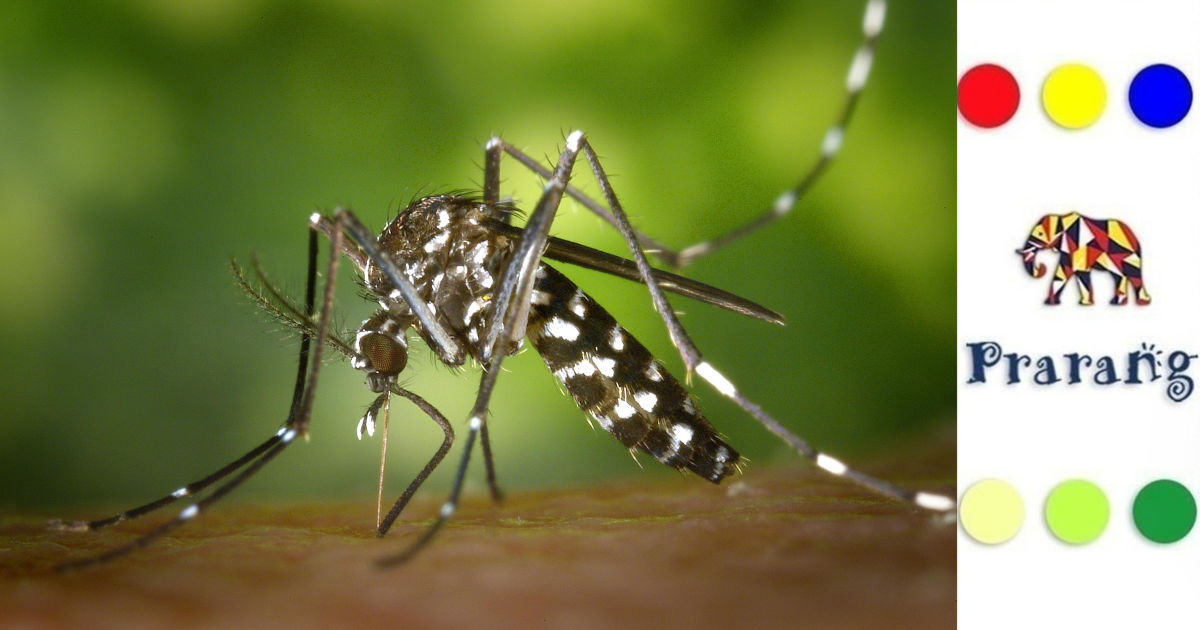 रामपुरवासियों, क्या आप जानते हैं कुछ लोग मच्छरों को ज़्यादा क्यों करते हैं आकर्षित?