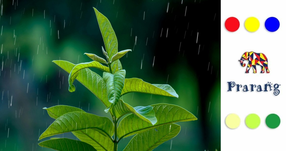 लखनऊ में मॉनसून: नवाबी शहर की बारिश, संस्कृति और जीवन पर असर की कहानी