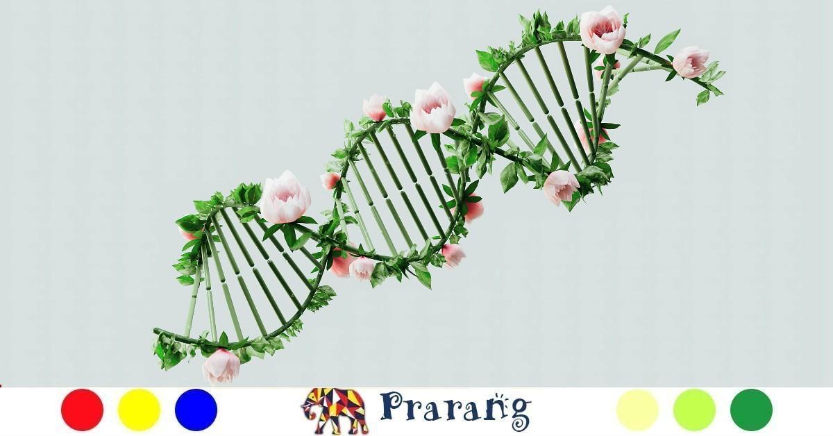 पौधों की गहराइयों तक: पादप डीएनए अनुक्रमण की रहस्यमयी दुनिया