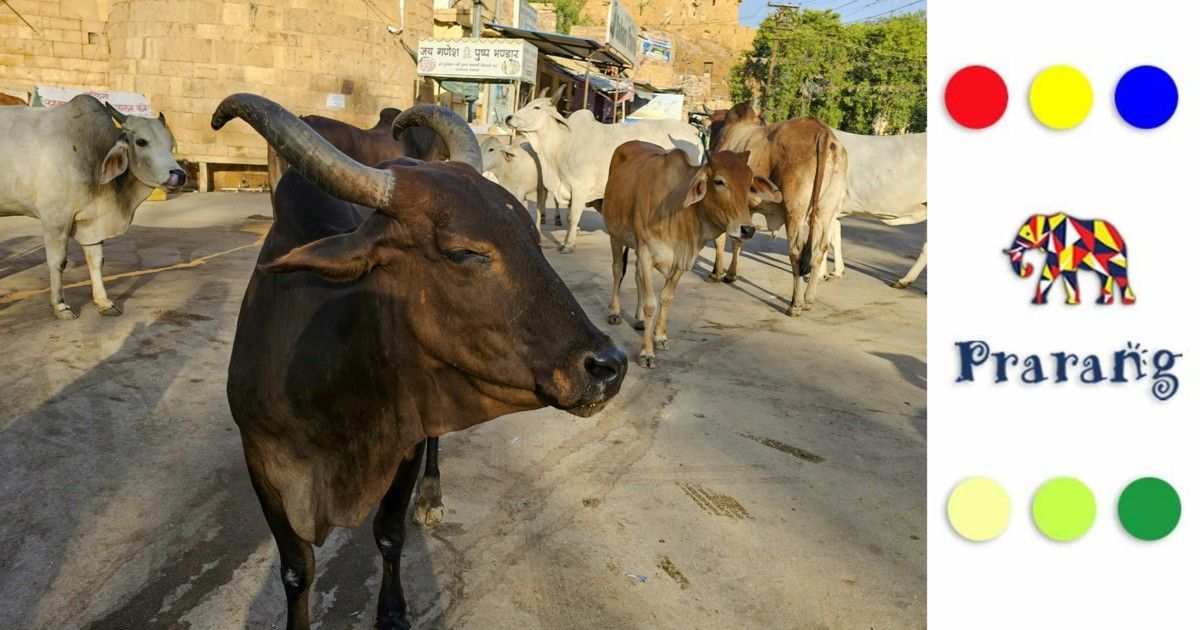 मेरठ में आवारा मवेशियों का संकट: कारण, प्रभाव और समाधान की राह