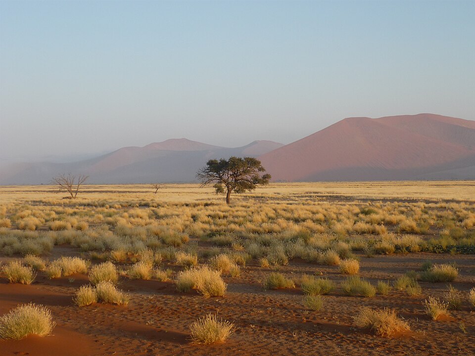 Deserts at Two Extremes: The Moravian Sahara and India’s Great Rann of Kutch teach us many lessons