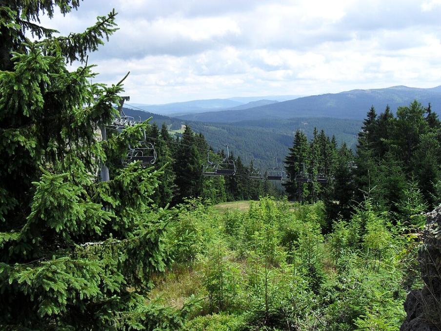Can we hear the whispers of Šumava’s peat bogs and of the Western Ghats’ rainforests?