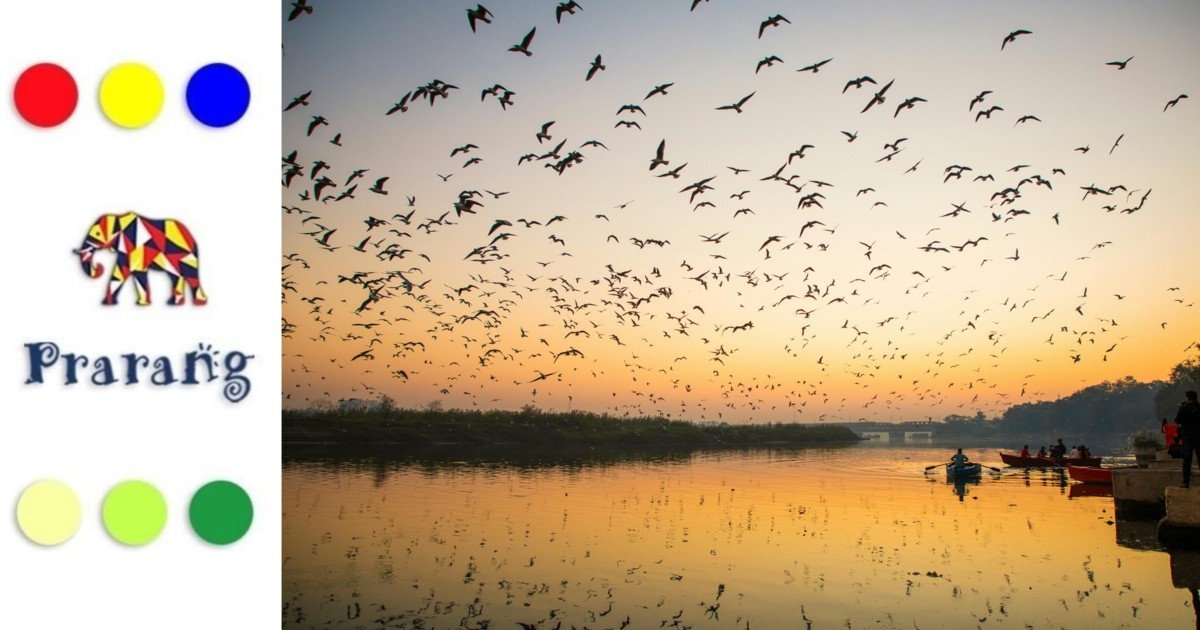 लखनऊवासियों, जानिए कैसे प्रवासी पक्षी हमारी धरती और पर्यावरण को जीवन देते हैं