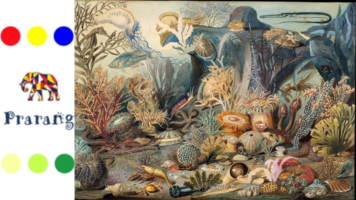 समुद्र खजिना तर खरा, पण महाराष्ट्रातील मत्स्यव्यवसाय व उपजीविकेची काय आहेत आव्हाने?