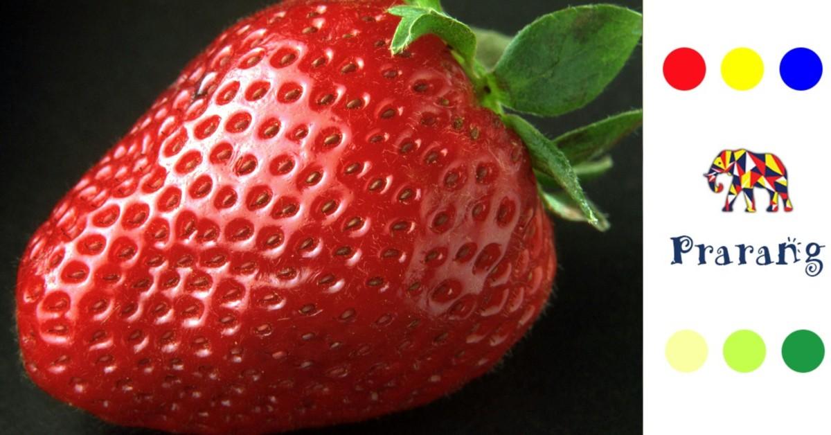 लखनऊवासियों के लिए विविपैरी: कैसे फल और पौधे अपने बीज से पहले ही नया जीवन शुरू करते हैं