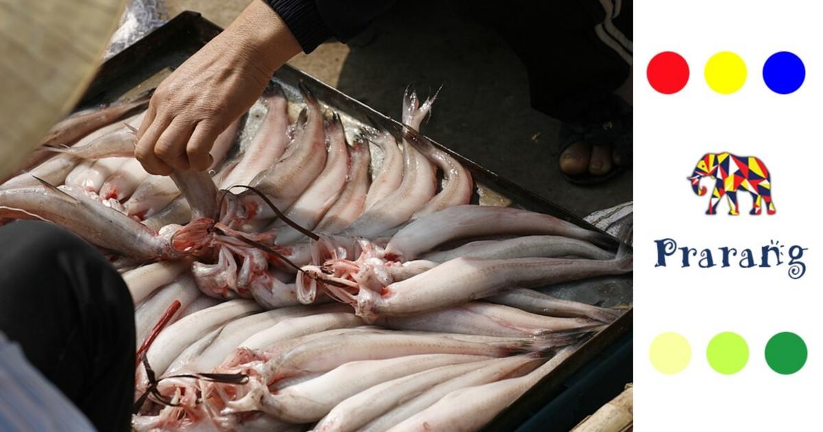 लखनऊवासियों जानिए, मुंबई में तीखी गंध वाली यह अजीब मछली इतनी लोकप्रिय क्यों है?