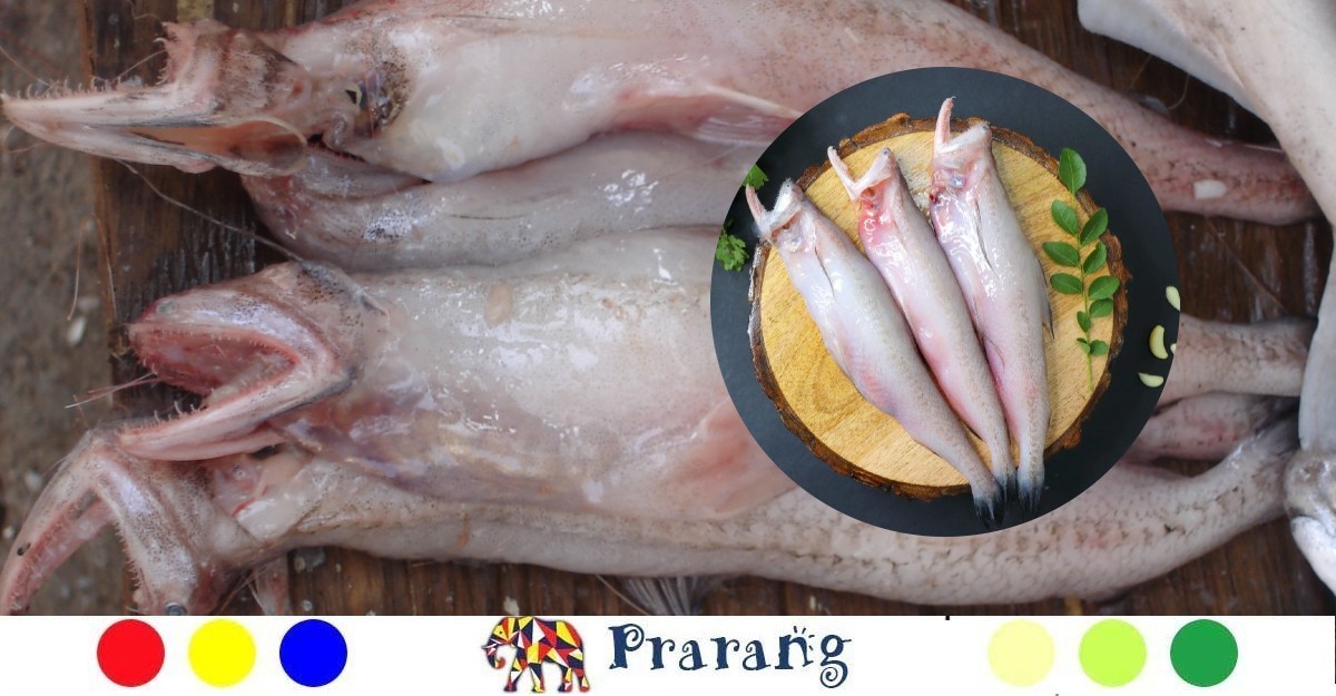 लखनऊवासियों जानिए, मुंबई में तीखी गंध वाली यह अजीब मछली इतनी लोकप्रिय क्यों है?