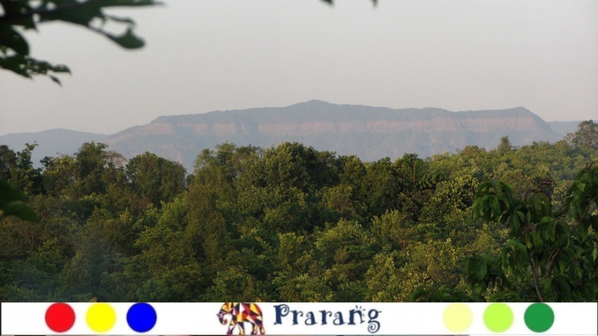 जंगल : आपले जीवन आणि भवितव्य! कोकण, सह्याद्री व दख्खनची वने का आहेत महत्वाची?