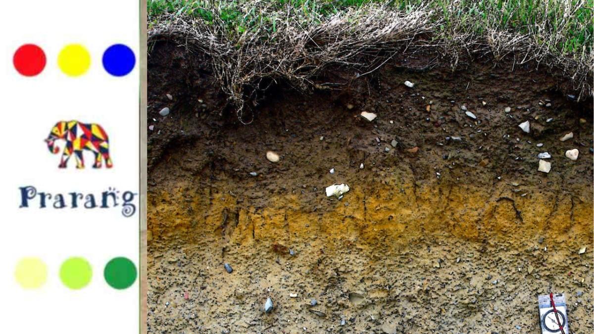 चला आज जाणून घेऊया, मृदा निर्मितीचे रहस्य आणि महाराष्ट्रातील जमिनीचे वैविध्य काय आहे?