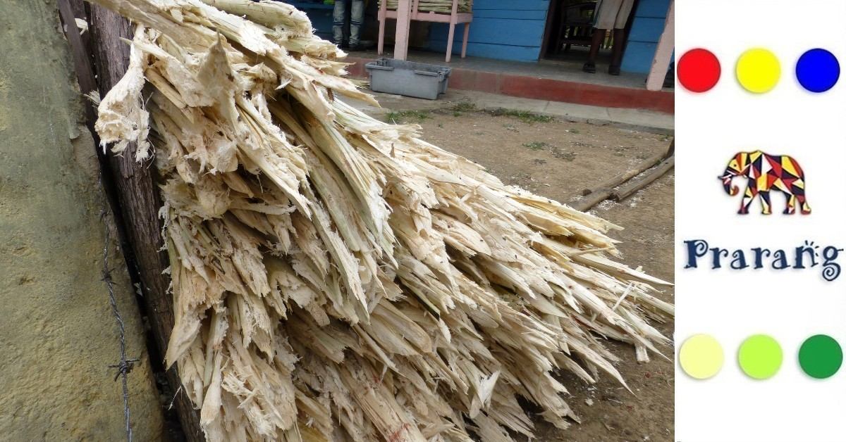 रामपुरवासियों जानिए, गन्ने से निकला बगास जो बदल रहा है पर्यावरण और अर्थव्यवस्था का चेहरा