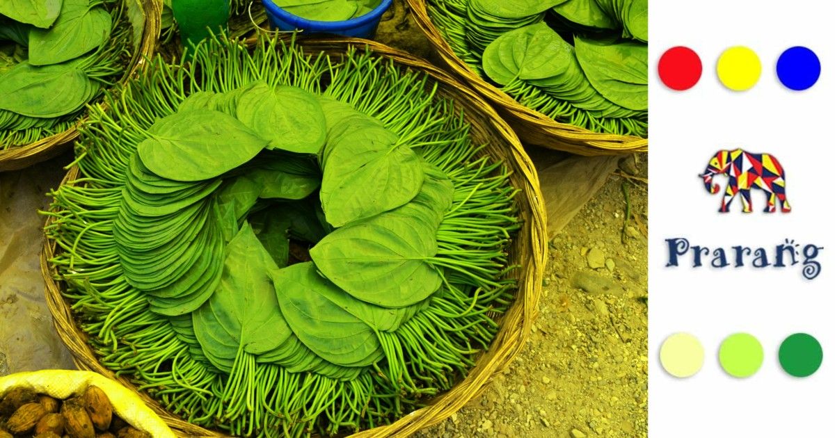 क्या मेरठ में पान की खेती बन सकती है किसानों की नई हरित कमाई का ज़रिया?