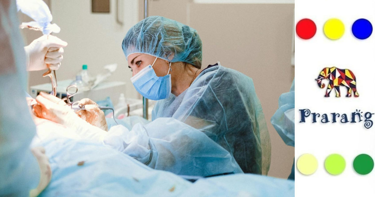 जब विज्ञान ने तोड़ी सीमाएँ: क्या जानवरों के अंग इंसानों के शरीर में काम कर सकते हैं?