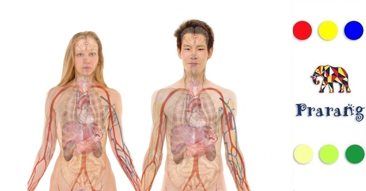 जब विज्ञान ने तोड़ी सीमाएँ: क्या जानवरों के अंग इंसानों के शरीर में काम कर सकते हैं?