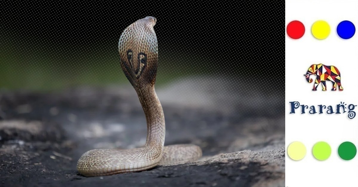 लखनऊ की धरती से जुड़ी लोककथाओं में जीवित भारतीय कोबरा की अनोखी पहचान