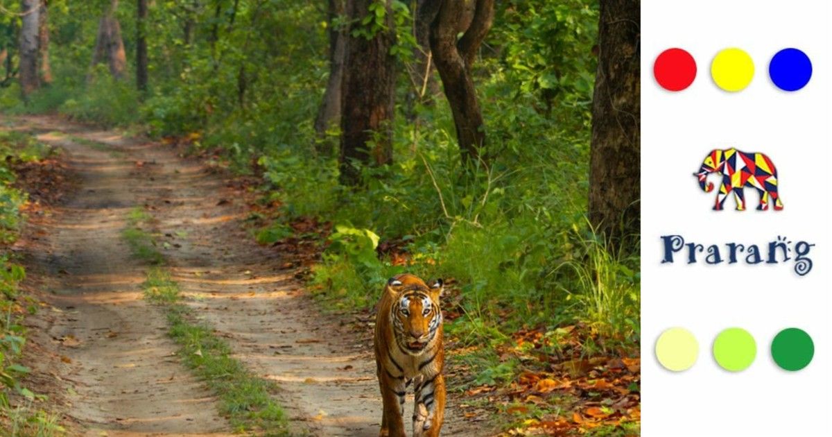 कैसे वन्यजीव अभयारण्य, लखनऊ और पूरे उत्तर प्रदेश की प्रकृति को जीवनदान दे रहे हैं?