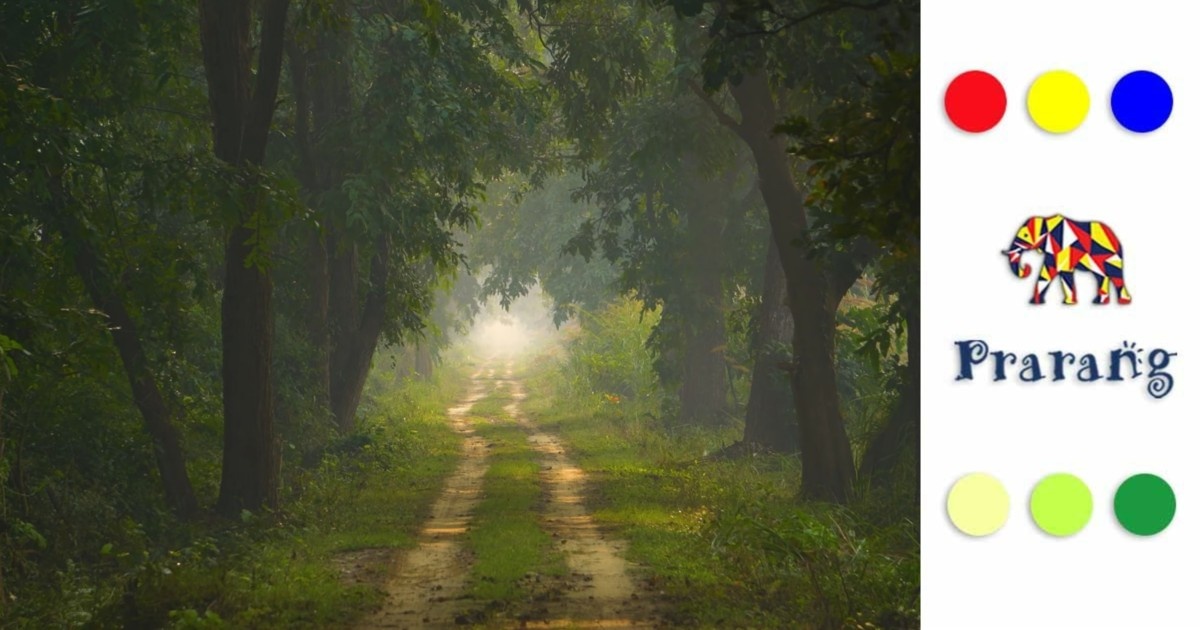 जिम कॉर्बेट से दुधवा और पीलीभीत तक: रामपुर के जंगलों में बसा वन्यजीवों का स्वर्ग