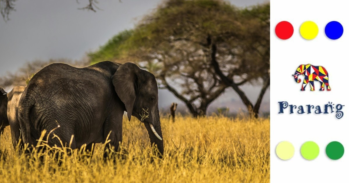 लखनऊवासियों, जानिए क्यों हाथी शांति, शक्ति और करुणा का जीवंत प्रतीक है