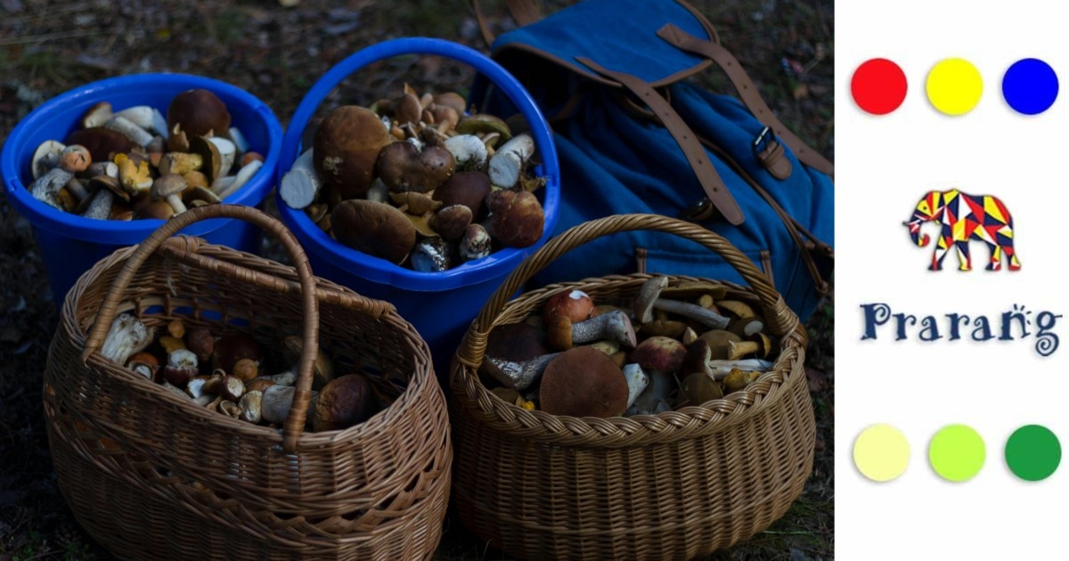 कैसे मशरूम की खेती, रामपुर के किसानों के लिए है एक उभरता सुनहरा मौका ?