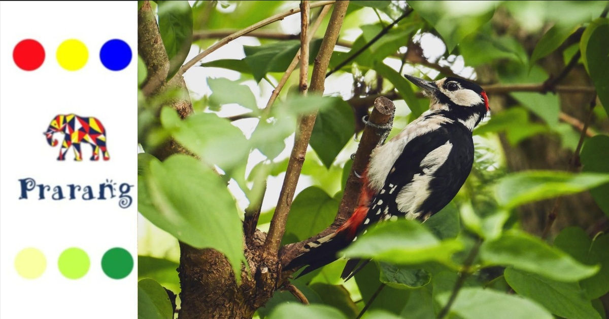 रामपुरवासियो, प्रकृति का अनमोल तोहफ़ा: क्यों हमारे शहर में बसती है पक्षियों की अनोखी दुनिया?