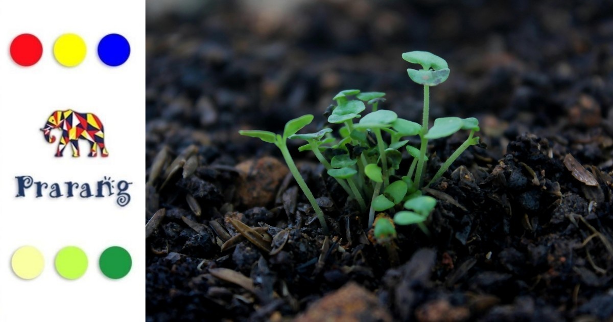 क्यों आज किसानों के लिए, सूक्ष्मजीव आधुनिक खेती के सबसे बड़े साथी बनते जा रहे हैं?