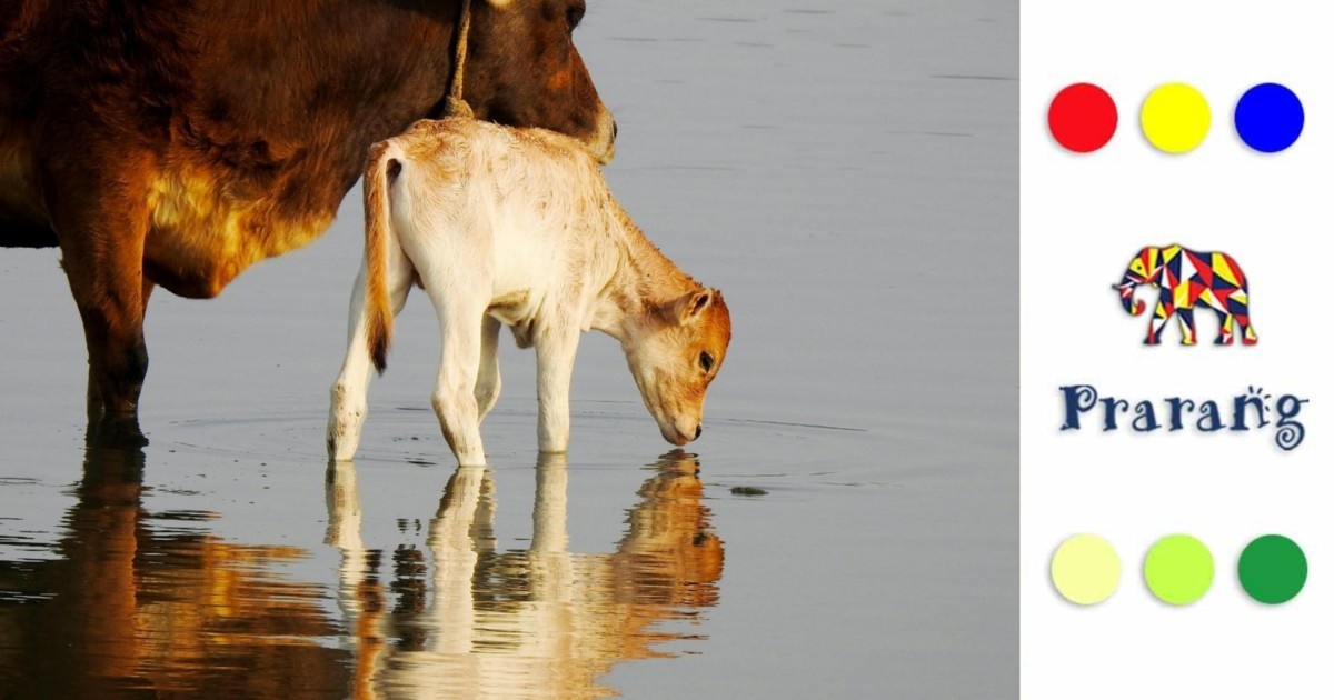 नव वर्ष और नई शुरुआत: पशु प्रजनन, जन्म और विकास की अद्भुत प्रक्रिया