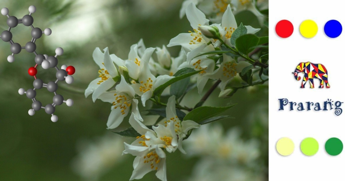कैसे फूलों के रंगों का छिपा विज्ञान, प्रकृति को समझने का हमारा नज़रिया बदल देता है?