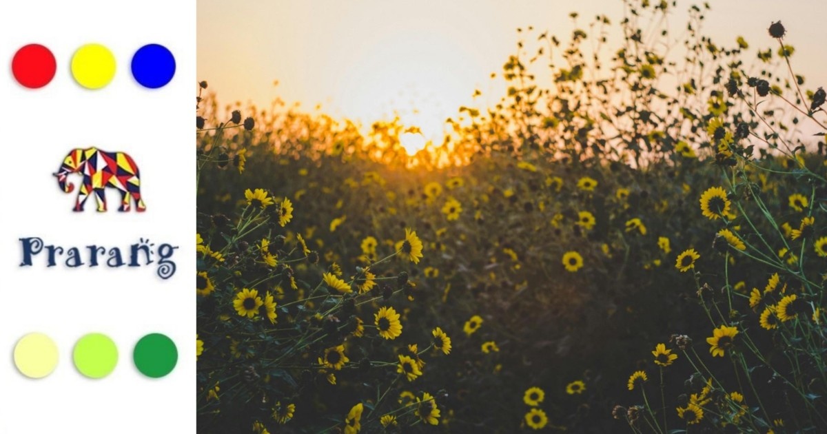 कैसे वैज्ञानिक नाम हमें प्रकृति को एक नई नज़र से समझने में मदद करते हैं?