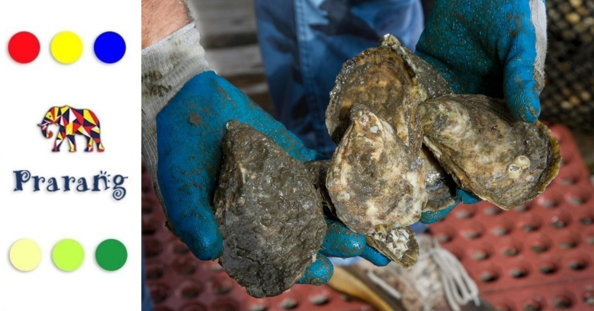 कैसे मोती पालन बना भारत में नई रोज़गार संभावना और किसानों की कमाई का नया रास्ता?