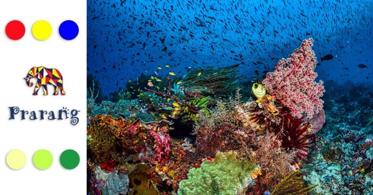 क्यों मूंगे कहलाते हैं समुद्र के गहने, और कैसे इन पर टिका है पूरा समुद्री जीवन?