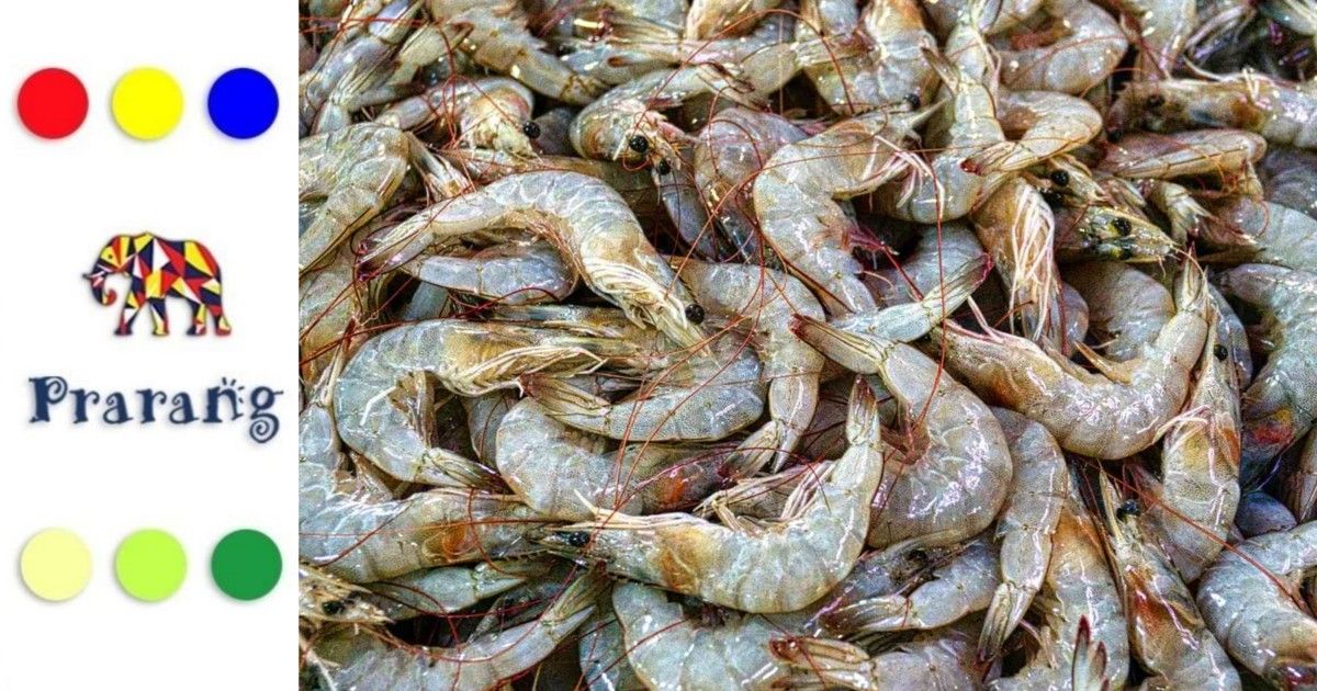 जौनपुर के किसानों के लिए नया अवसर: झींगा पालन से बढ़ती आय और ग्रामीण विकास की राह