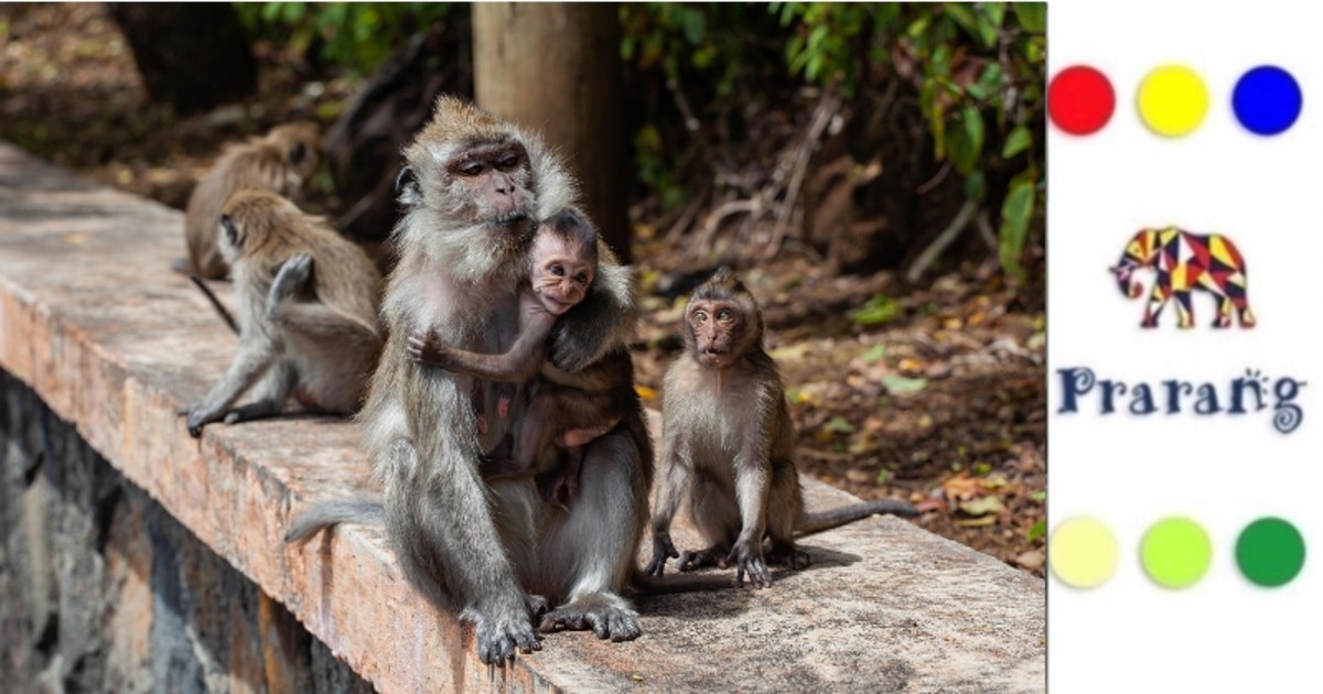 कैसे प्रकृति के पालन पोषण के तरीक़े, लखनऊ के लोगों को सीख का नया नज़रिया देते हैं?