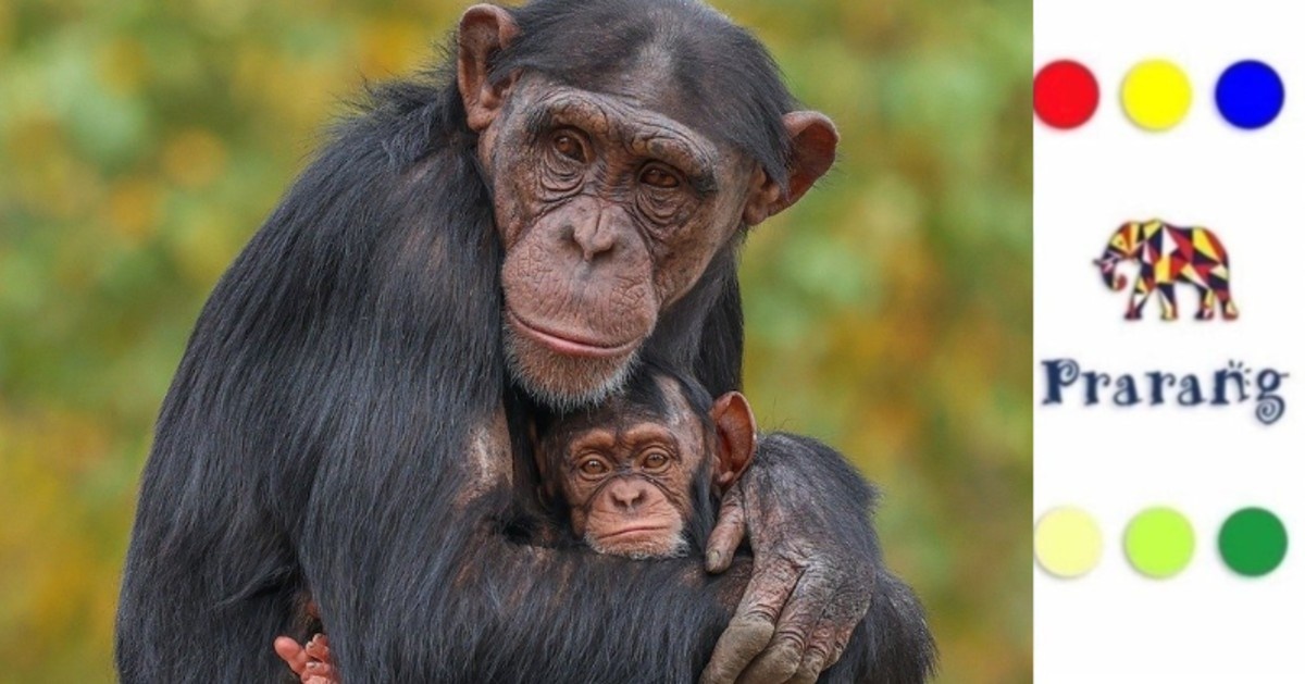 रामपुरवासियों, जानिए जंगल के माता–पिता अपने बच्चों को जीना कैसे सिखाते हैं