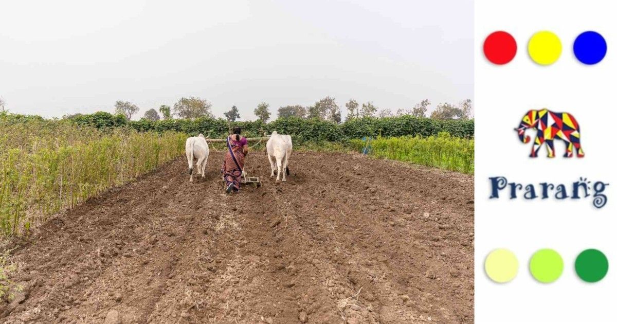 भारत की मिट्टियाँ और खेती का रिश्ता: जानिए कौन-सी मृदा किस फ़सल के लिए है सबसे उपयुक्त