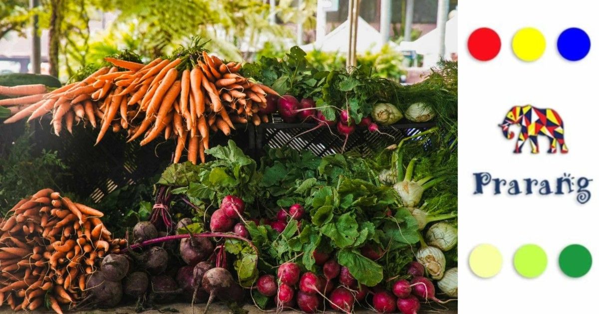 रामपुर की सर्दियों का शाही स्वाद: अदरक के हलवे में छुपी सेहत और विरासत