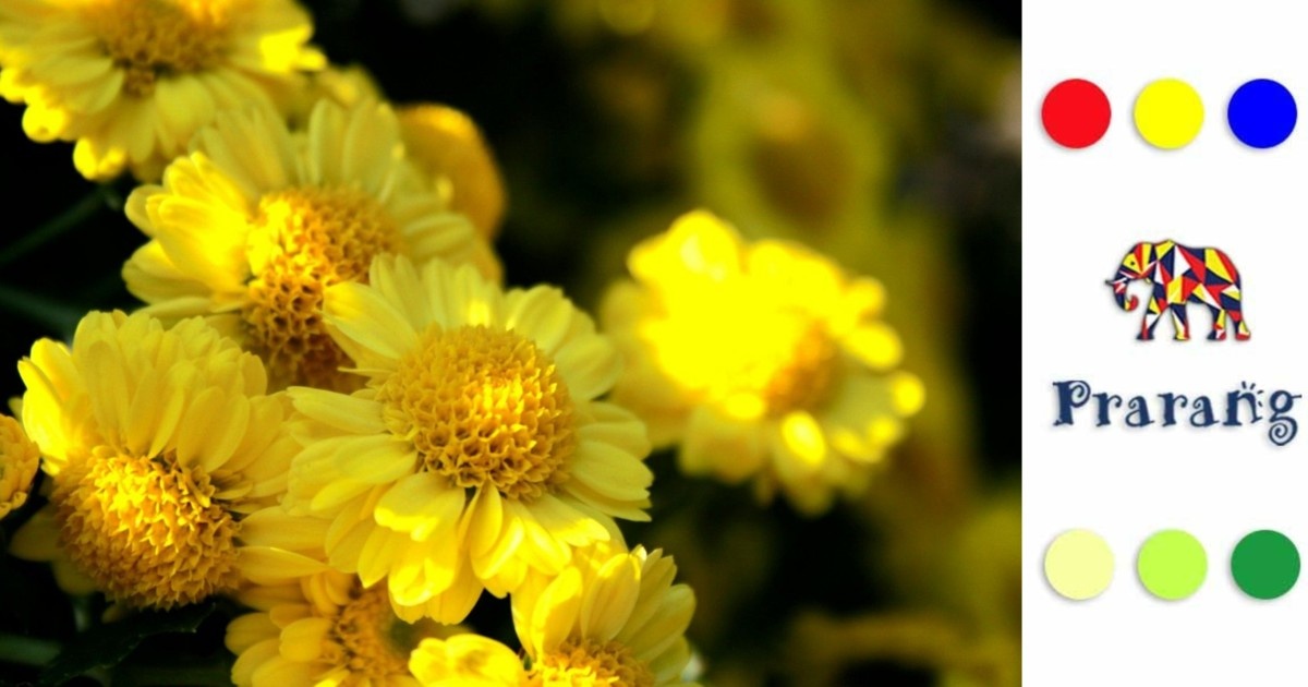 लखनऊ में बसंत पंचमी: ऋतुओं का उत्सव और पीले रंग की सांस्कृतिक कहानी