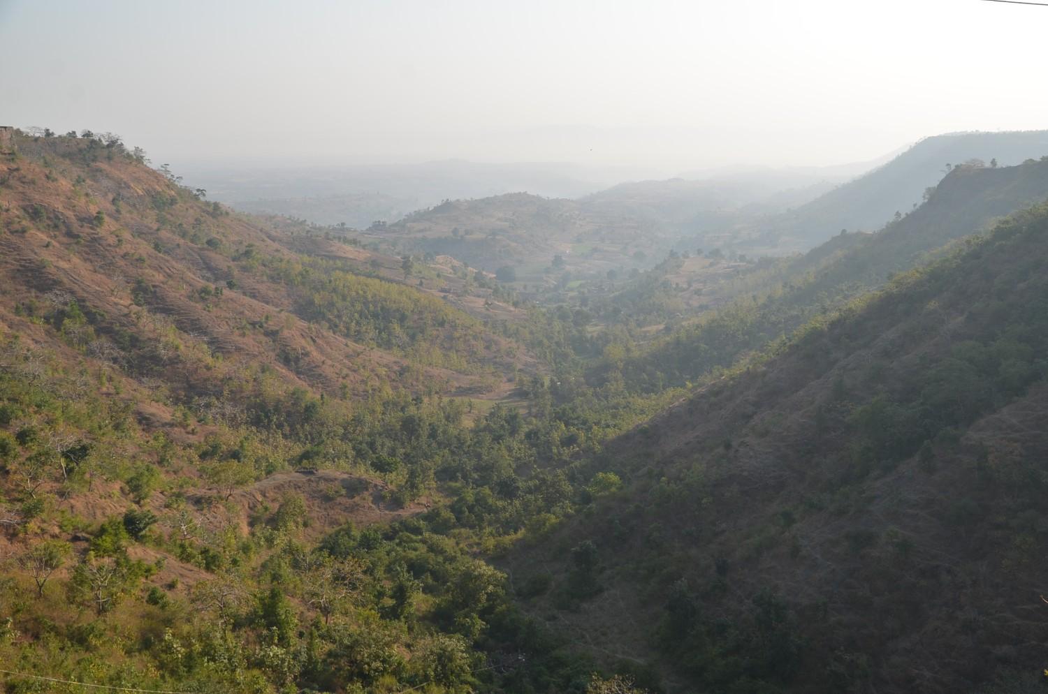 हमारे पर्यावरण, स्वास्थ्य व आजीविका में, मध्य प्रदेश और अमेज़न वनों की क्या है भूमिका ?