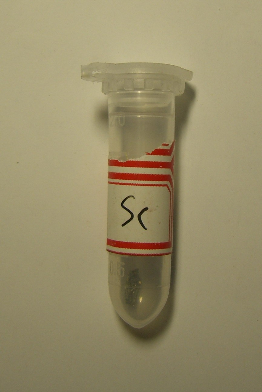 मध्य प्रदेश में दुर्लभ खनिजों व सोने की खोज, कैसे तय करेगी हमारे देश तथा राज्य का भविष्य?