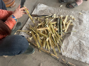 गन्ने की एक कोशिका से कैसे बचेगी, शाहजहांपुर के किसानों की कमाई?