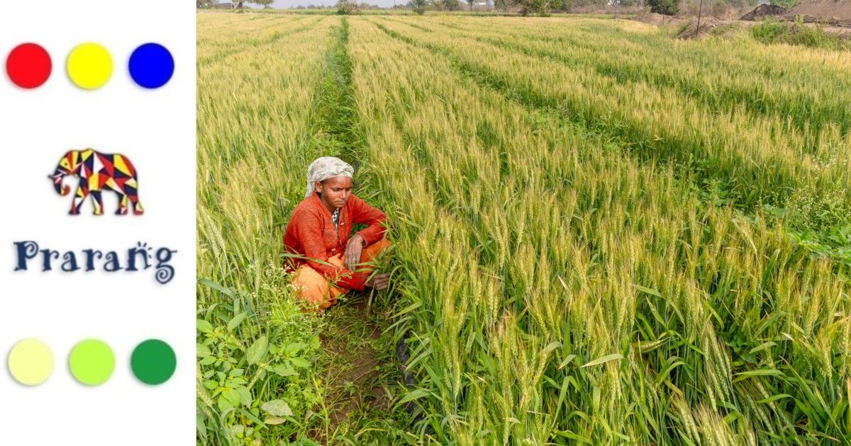 उत्तर भारत में सर्दियों का कोहरा: जनजीवन, कृषि प्रभाव और जल संचयन की संभावनाएँ