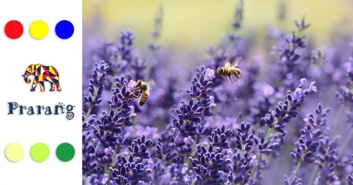 कैसे पौधों की खुशबू, परागणकों को आकर्षित कर, उनके जीवन चक्र को आगे बढ़ाती है?