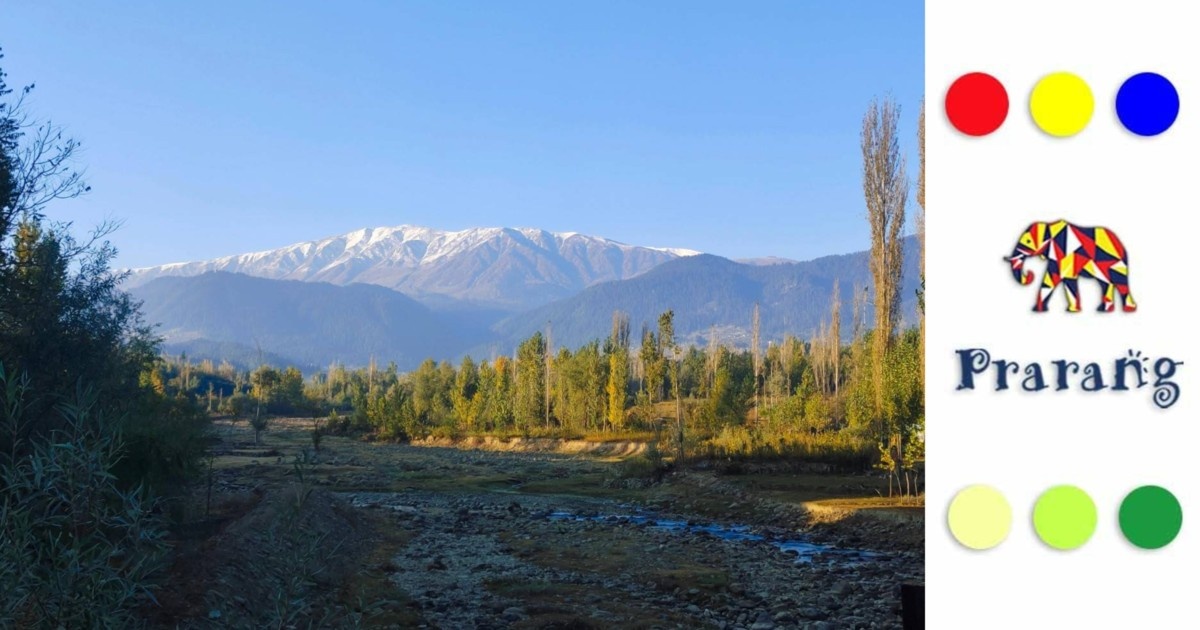 हिमालय का छिपा खजाना: दुर्लभ फल, औषधीय वनस्पतियाँ और प्रकृति की अनमोल विरासत