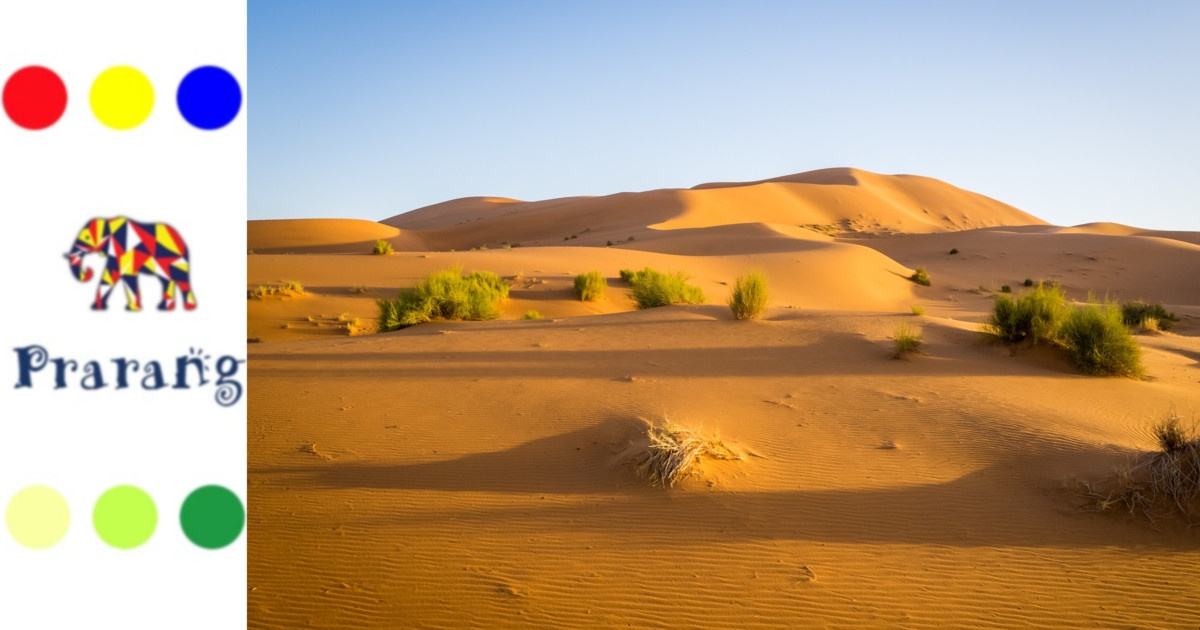 क्यों मेरठवासियों के जीवन से दूर होकर भी, रेगिस्तान हमारे लिए इतने महत्वपूर्ण हैं?